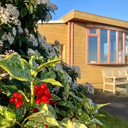 3 Pers. Holiday Home Sonnenschein With Fenced Garden And Infrared Sauna Anjum エクステリア 写真