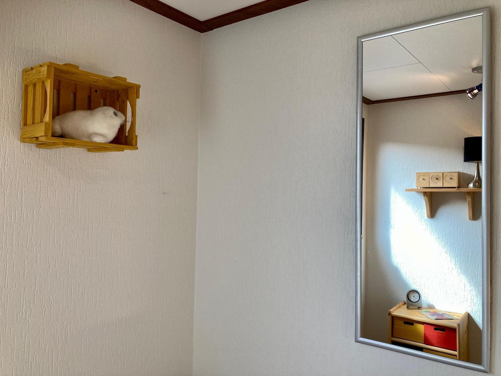 3 Pers. Holiday Home Sonnenschein With Fenced Garden And Infrared Sauna Anjum エクステリア 写真